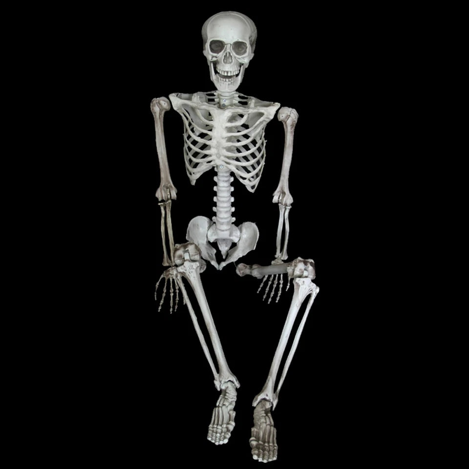 Halloween Poseable Skeleton Full Life Size Human Skeleton Decoration