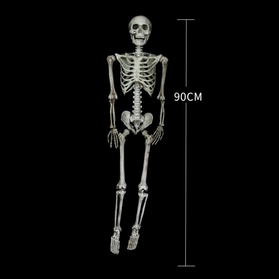 Halloween Poseable Skeleton Full Life Size Human Skeleton Decoration