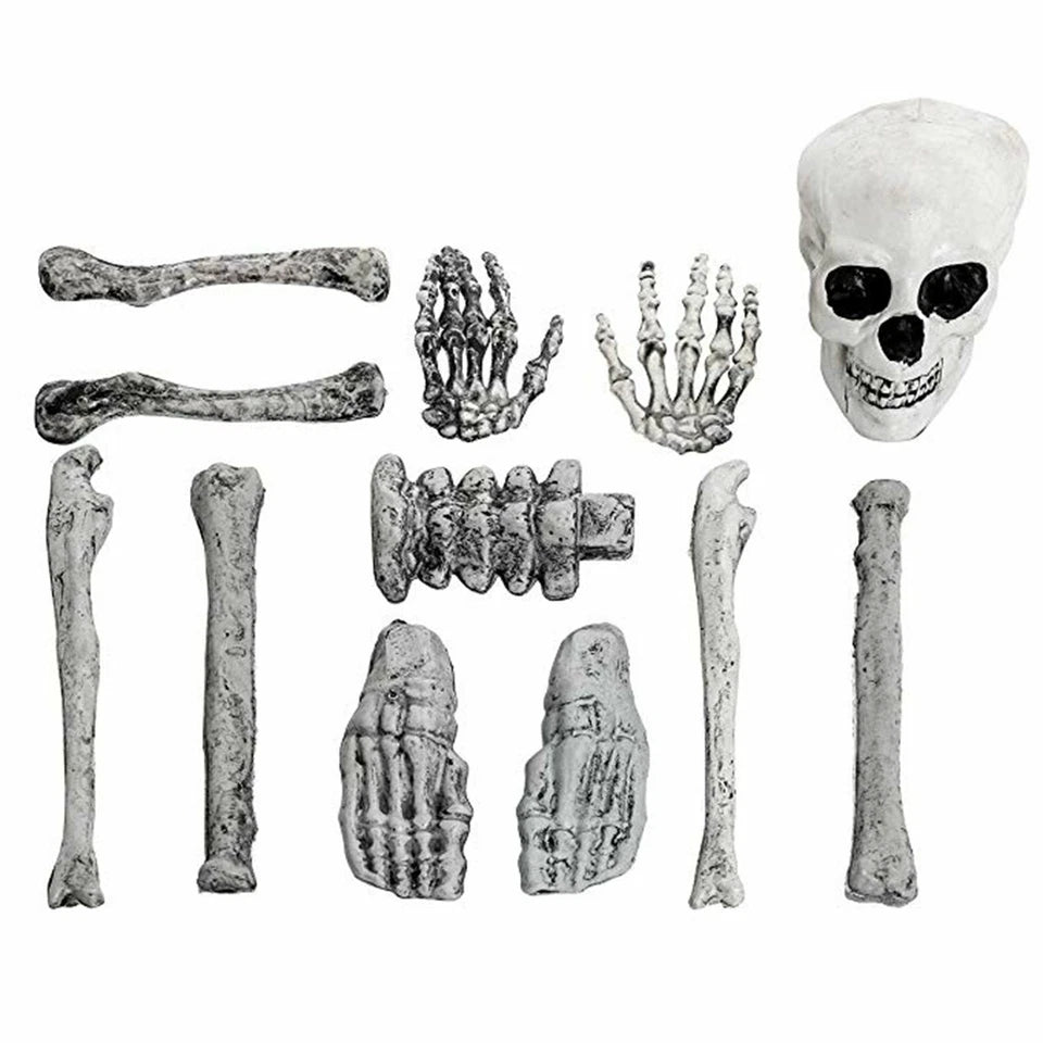 Halloween Poseable Skeleton Full Life Size Human Skeleton Decoration