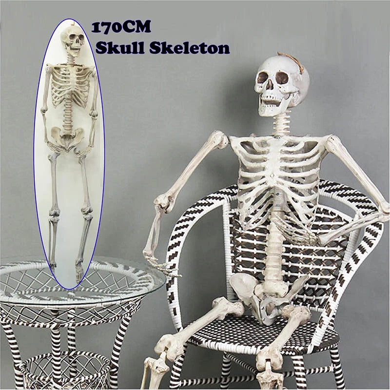 Halloween Poseable Skeleton Full Life Size Human Skeleton Decoration