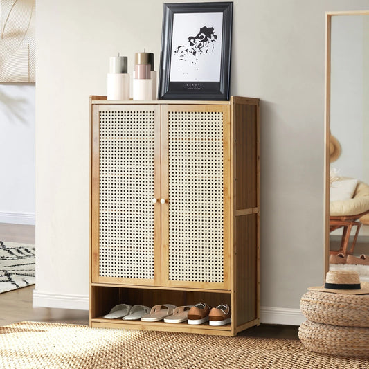 2 Doors Rattan Brown Shoe Storage Cabinet
