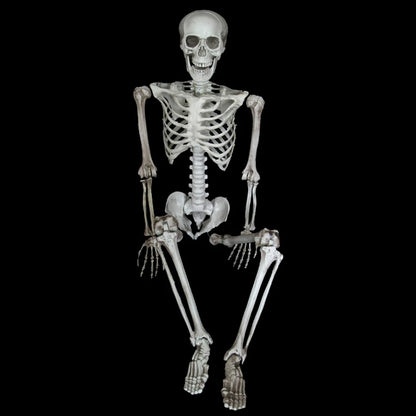 Halloween Poseable Skeleton Full Life Size Human Skeleton Decoration