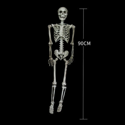 Halloween Poseable Skeleton Full Life Size Human Skeleton Decoration