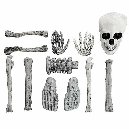 Halloween Poseable Skeleton Full Life Size Human Skeleton Decoration