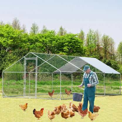 3x6x1.95m Metal Walk-in Chicken Coop