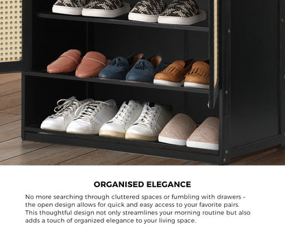 2 Doors Rattan Black Shoe Cabinet