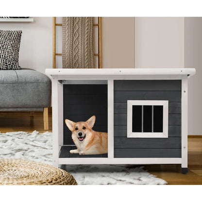 Dog kanel house