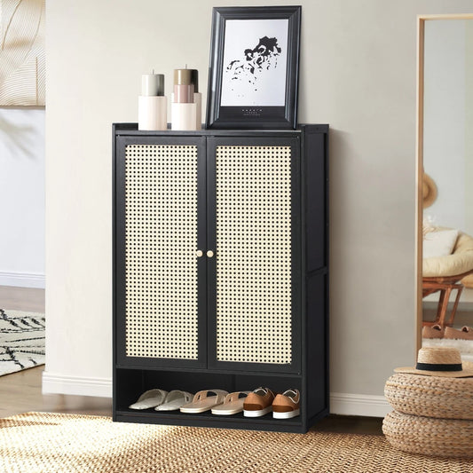 2 Doors Rattan Black Shoe Cabinet