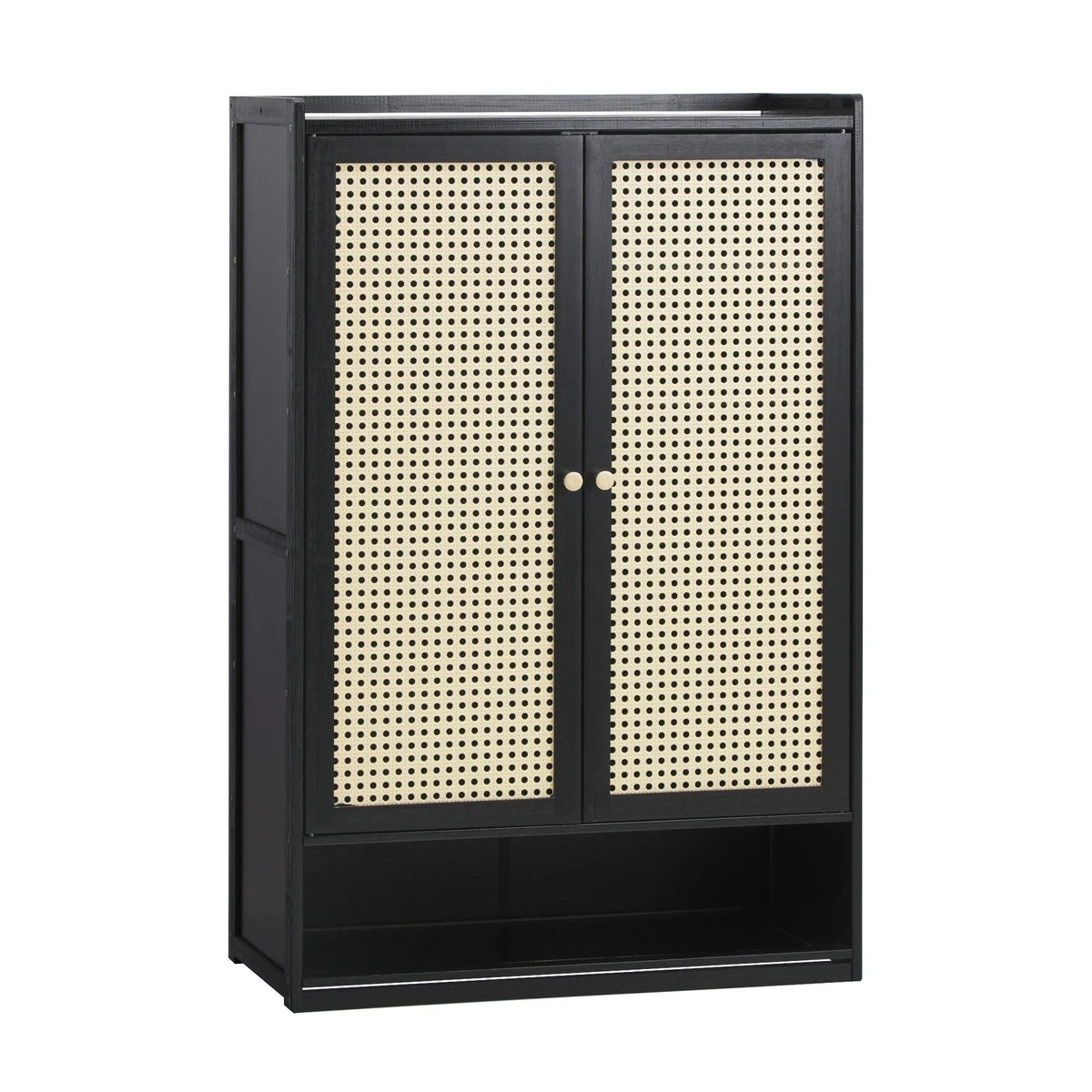 2 Doors Rattan Black Shoe Cabinet