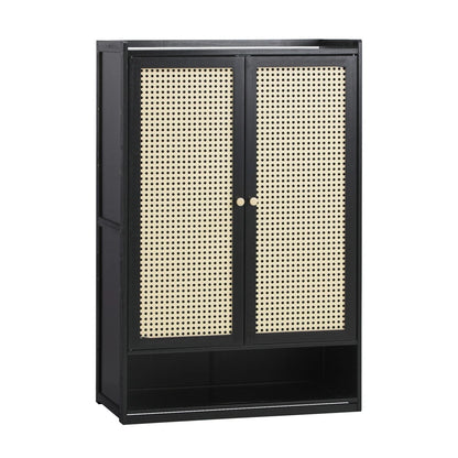 2 Doors Rattan Black Shoe Cabinet