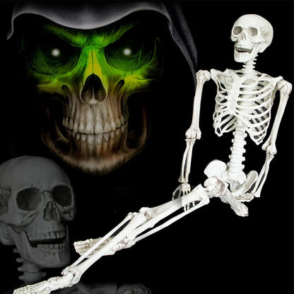 Halloween Poseable Skeleton Full Life Size Human Skeleton Decoration