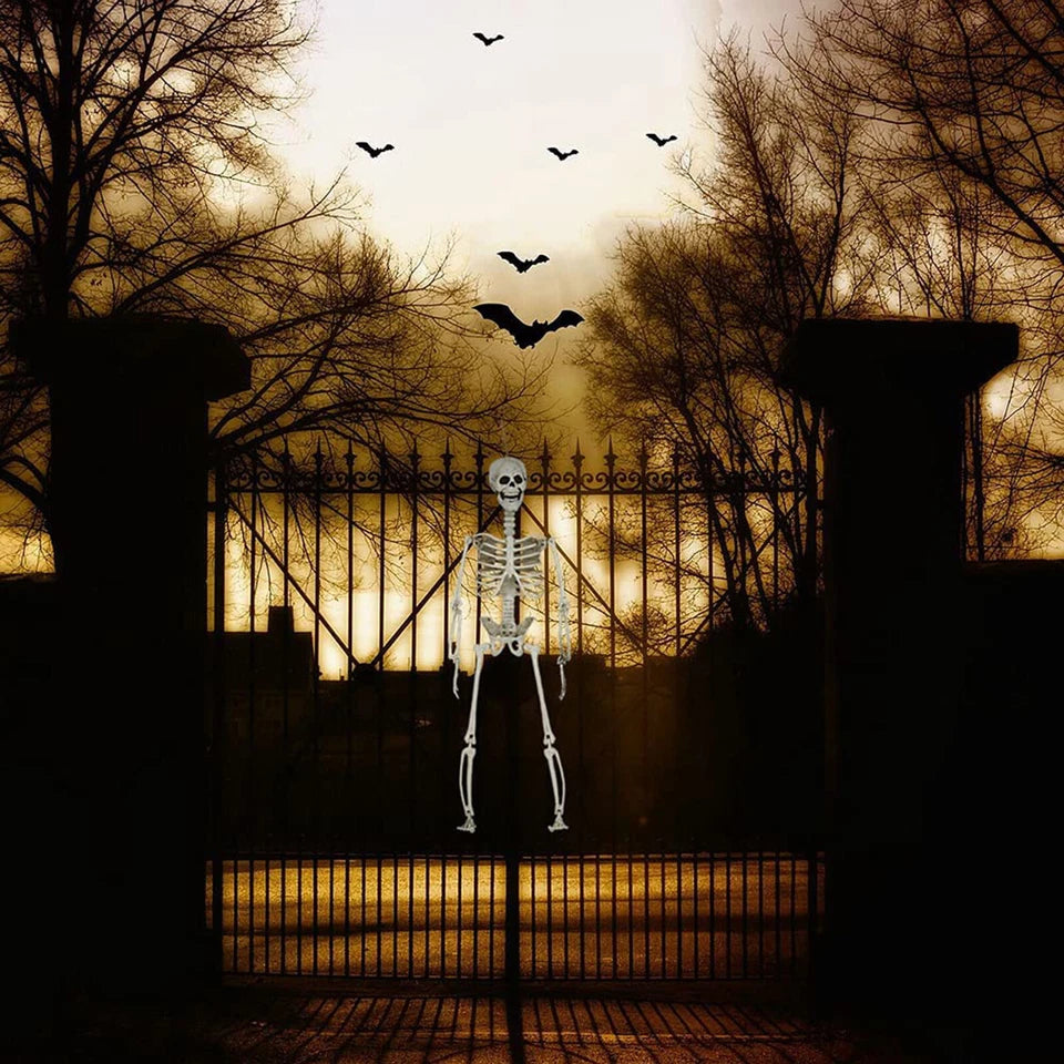 Halloween Poseable Skeleton Full Life Size Human Skeleton Decoration