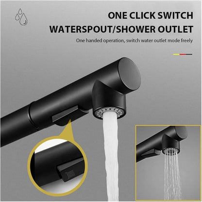 Black Kitchen Sink Faucet Pull Out 2-Mode Spray 360 Rotate Mixer Tap