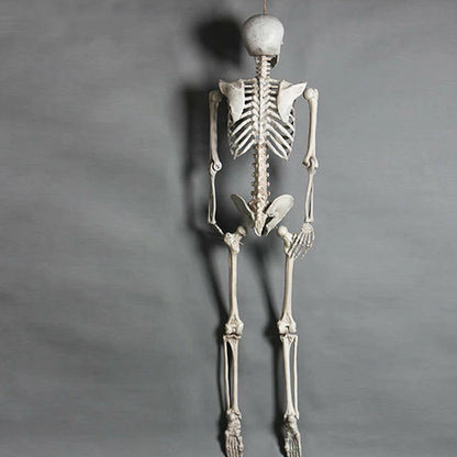 Halloween Poseable Skeleton Full Life Size Human Skeleton Decoration