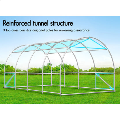 Greenhouse Dome Gabled Shed Walk in Green House