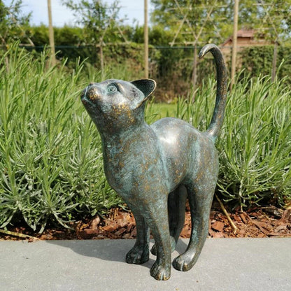 Beautiful Cat Statue With Rounded Back
