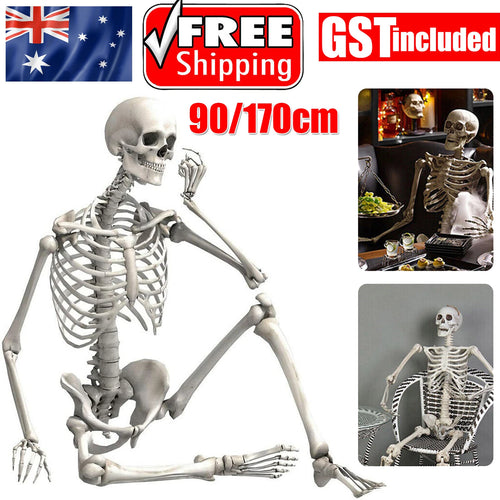 Halloween Poseable Skeleton Full Life Size Human Skeleton Decoration