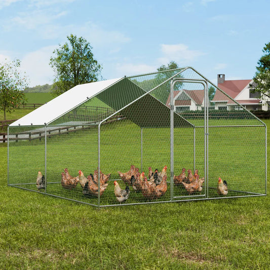 Large Metal Chicken Coop 3x4x2m