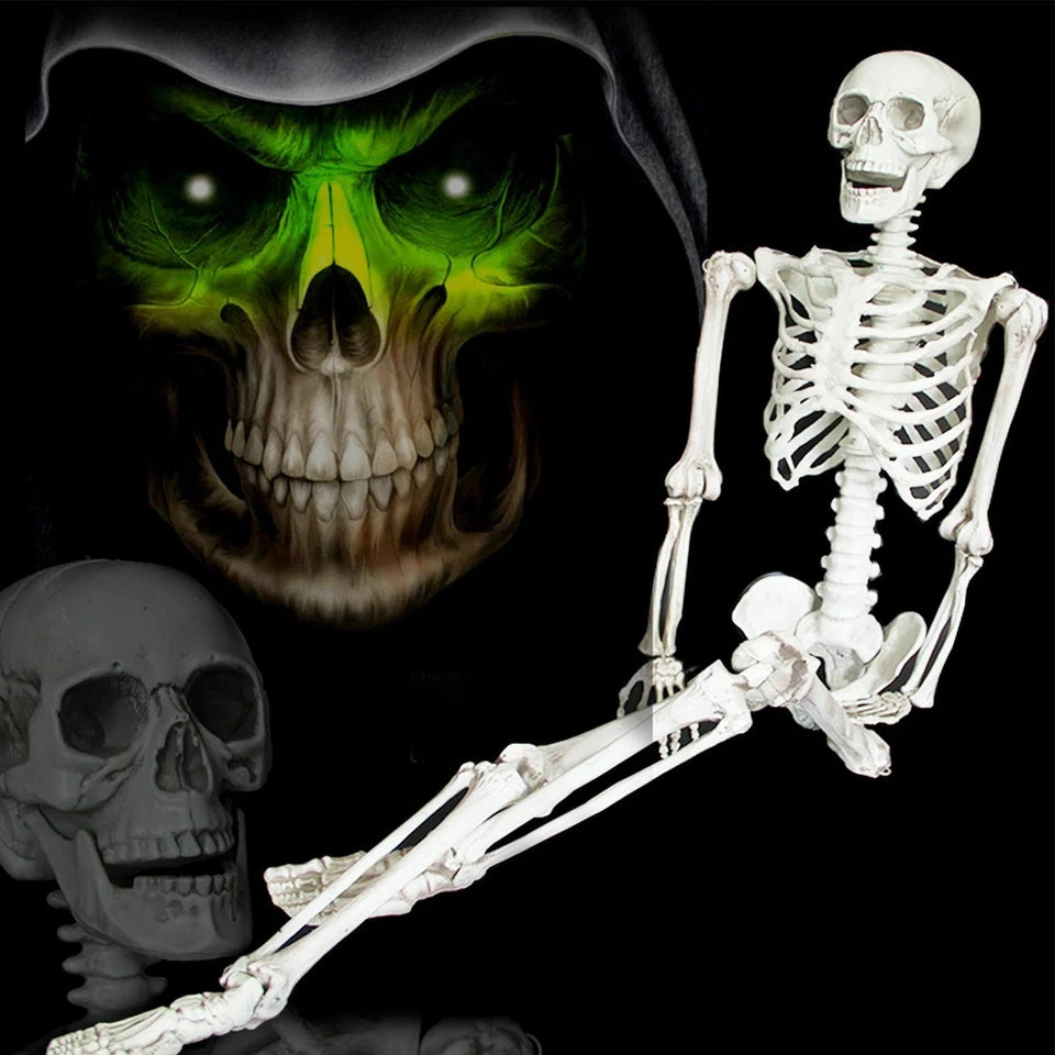 Halloween Poseable Skeleton Full Life Size Human Skeleton Decoration