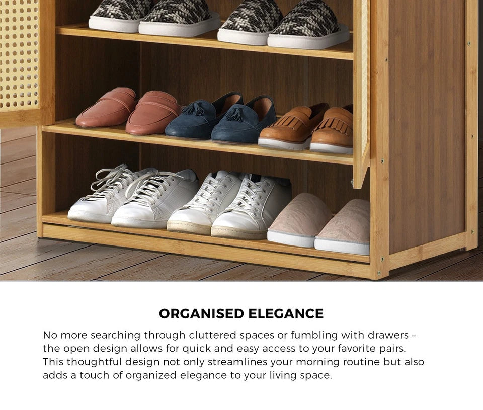 2 Doors Rattan Brown Shoe Storage Cabinet
