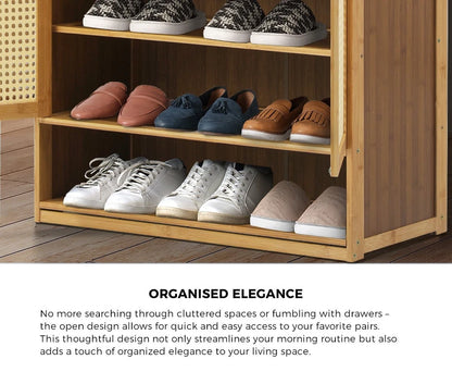 2 Doors Rattan Brown Shoe Storage Cabinet