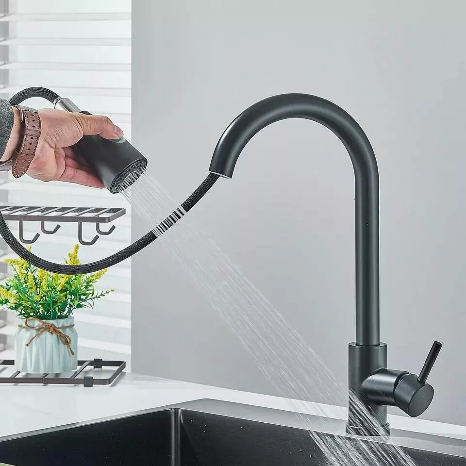 Kitchen Mixer Tap Black 360° Pull Out 2-Mode