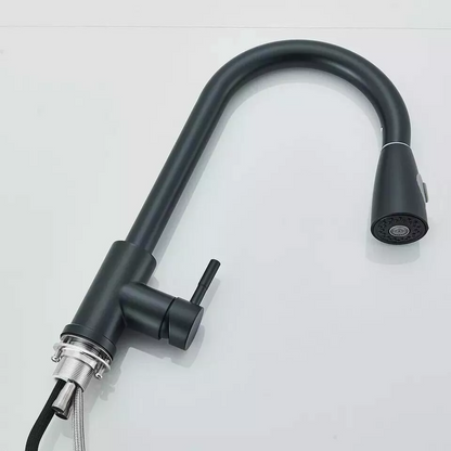 Kitchen Mixer Tap Black 360° Pull Out 2-Mode